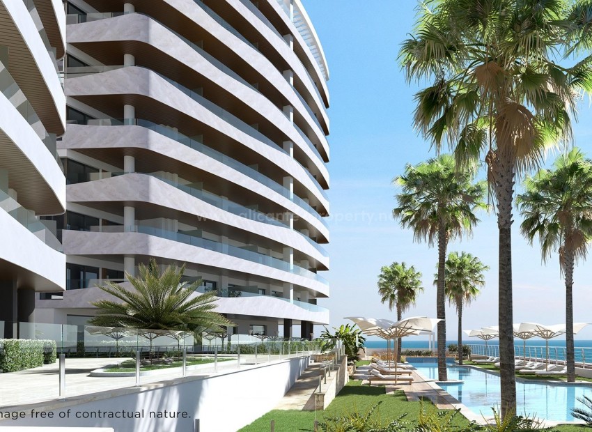 Apartamento / piso en 1ª Linea Del Mar Mediterraneo