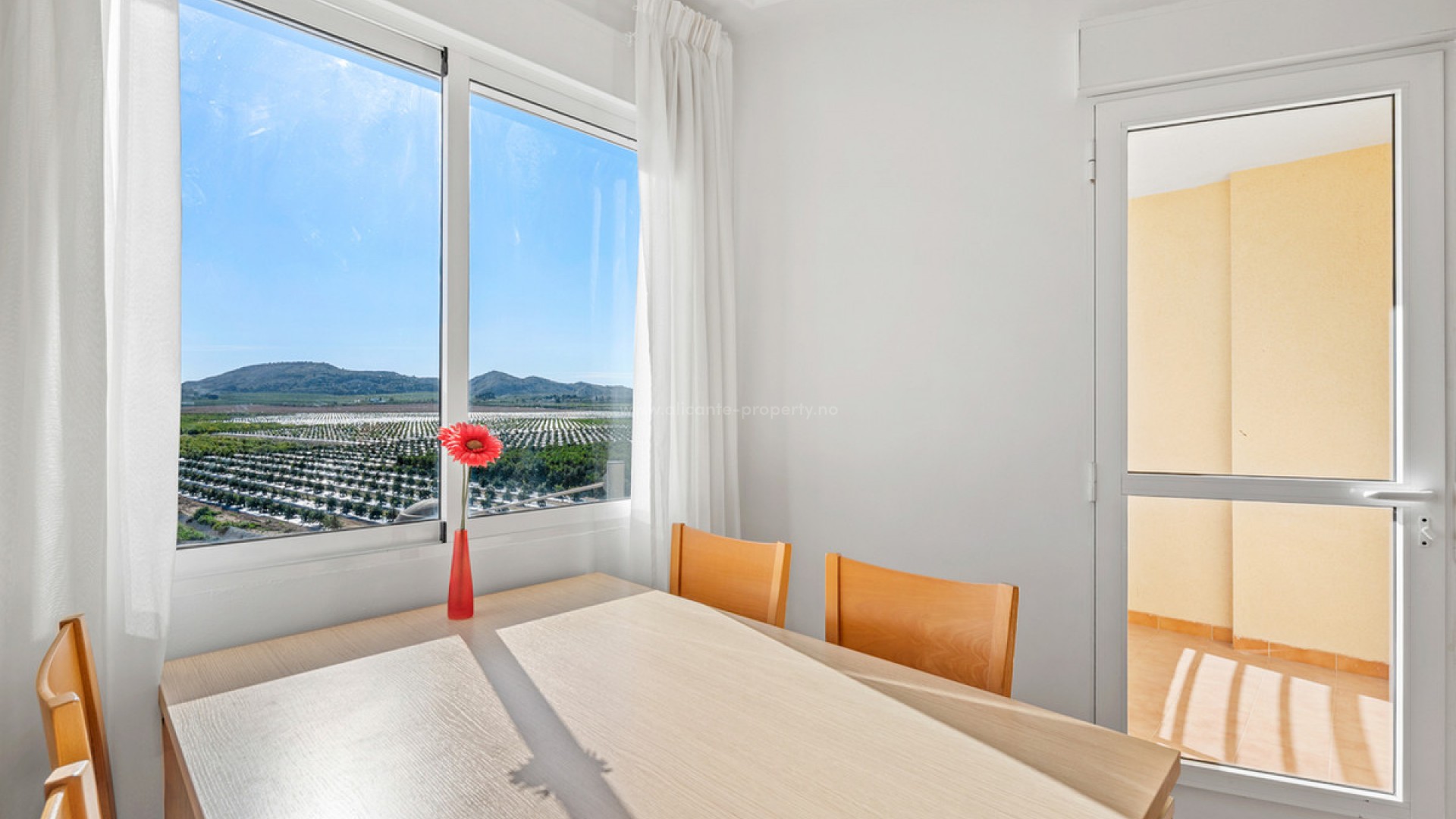 Apartamento / piso en Algorfa Centro