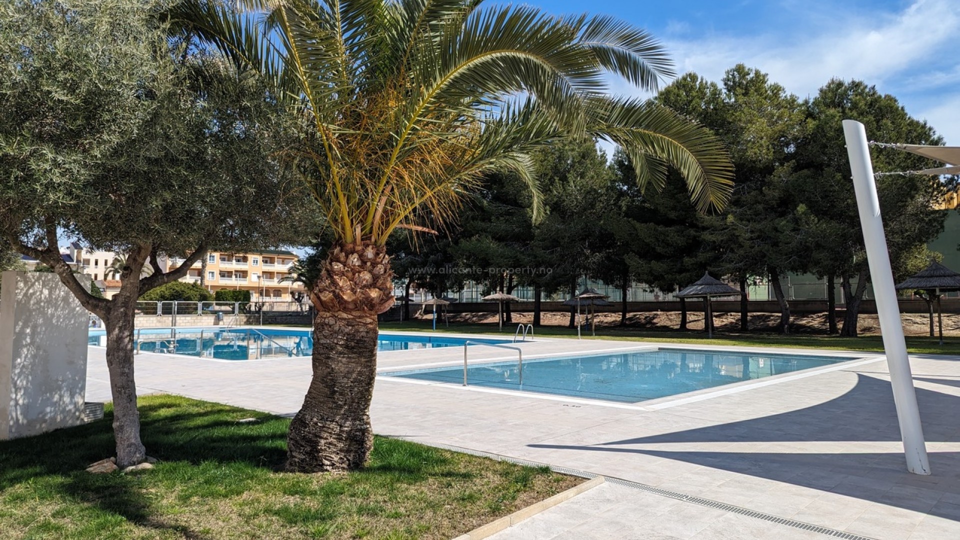 Apartamento / piso en Algorfa