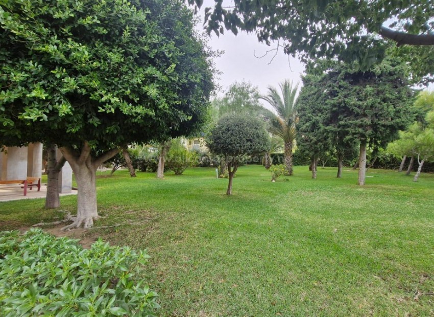 Apartamento / piso en Alicante Centro