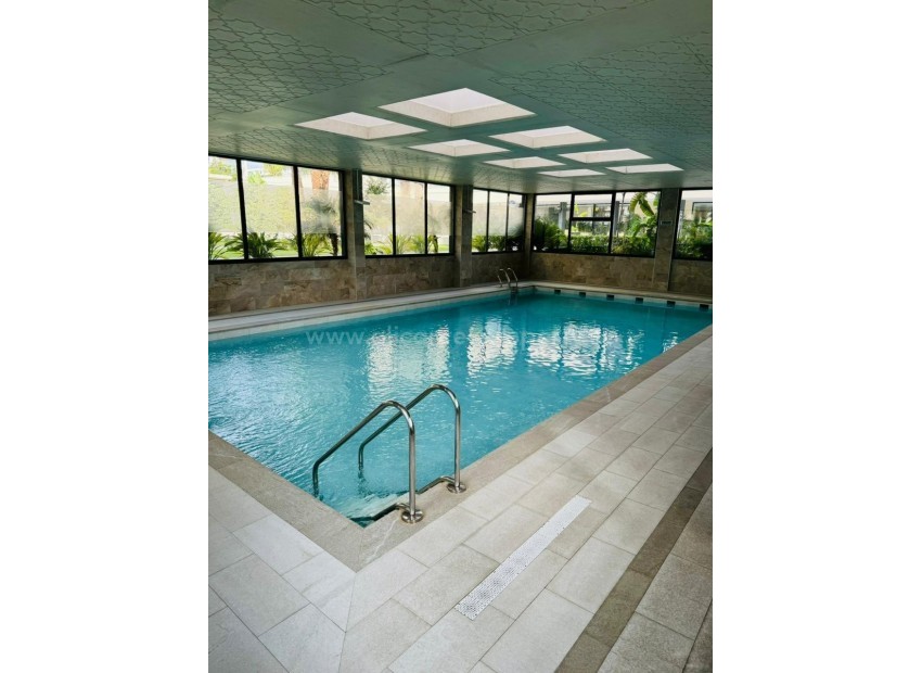 Apartamento / piso en Alicante Centro