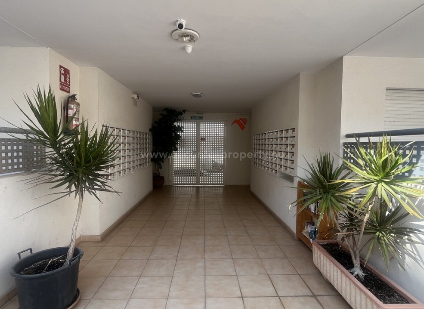 Apartamento / piso en Almoradí