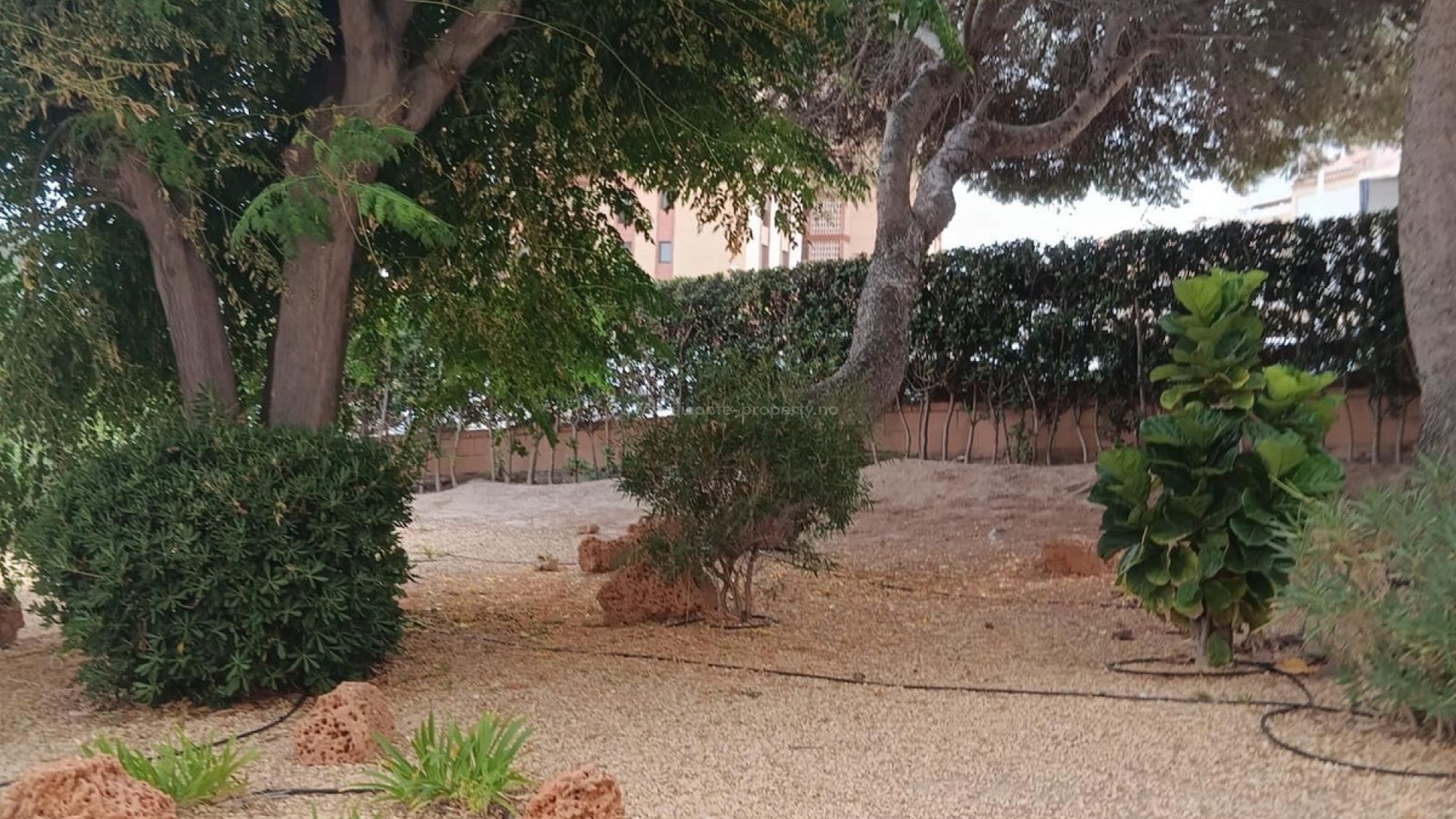 Apartamento / piso en Arenales del Sol