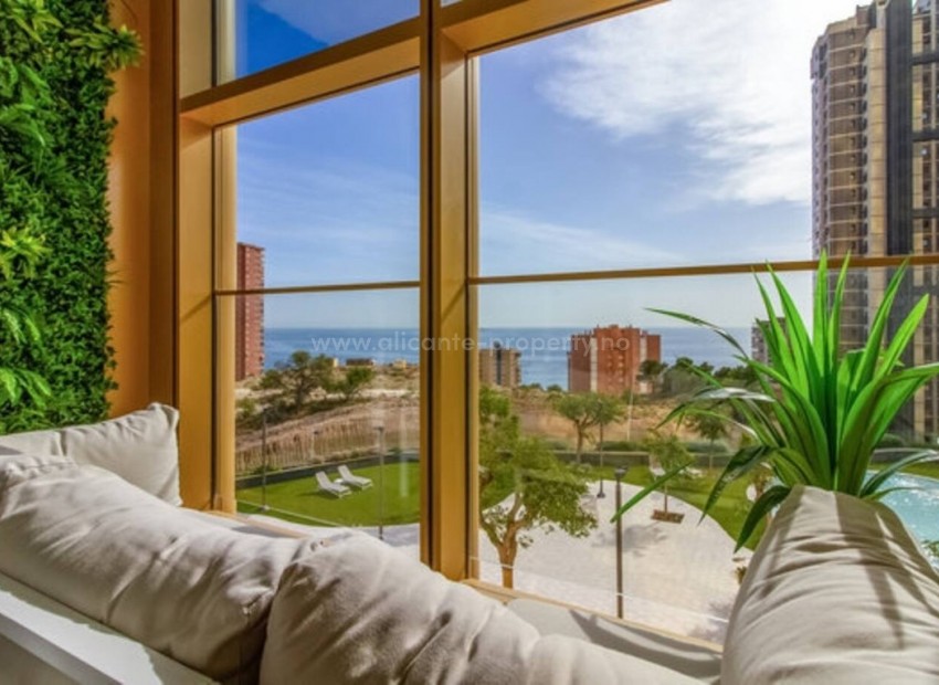 Apartamento / piso en Benidorm Centro