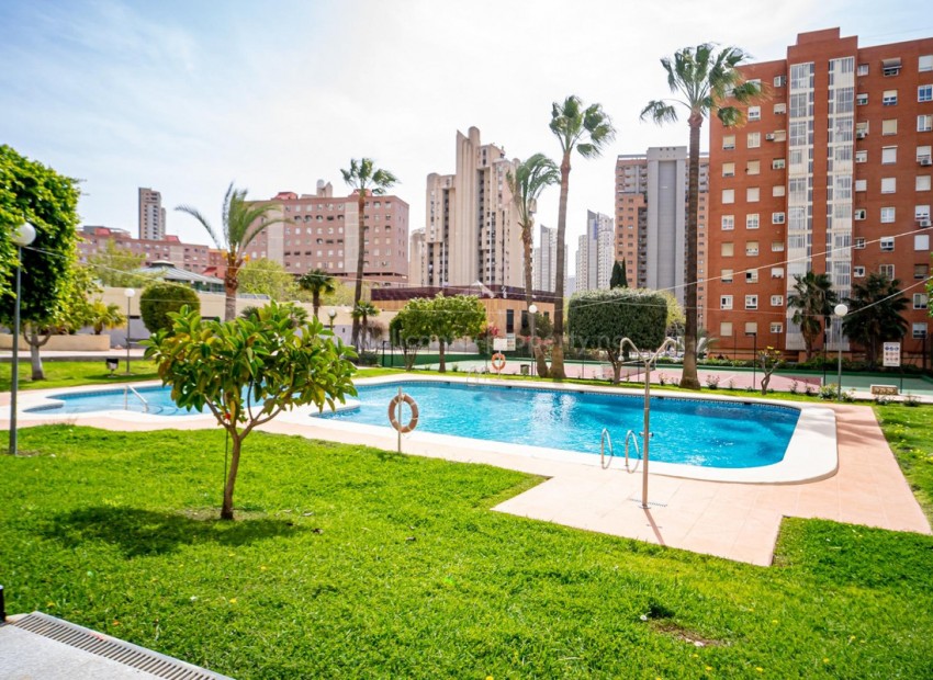 Apartamento / piso en Benidorm Centro