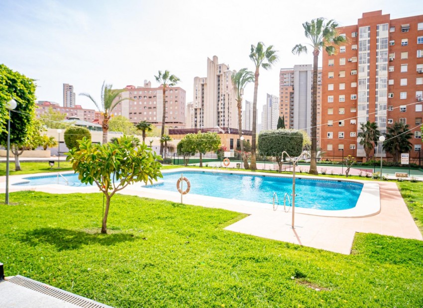 Apartamento / piso en Benidorm Centro
