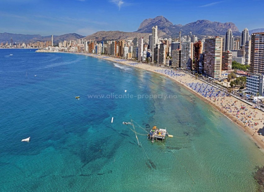 Apartamento / piso en Benidorm Centro