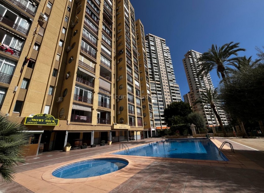 Apartamento / piso en Benidorm Centro