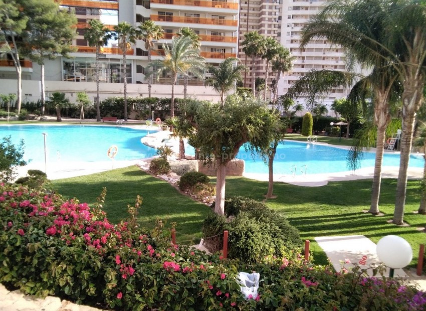Apartamento / piso en Benidorm Centro