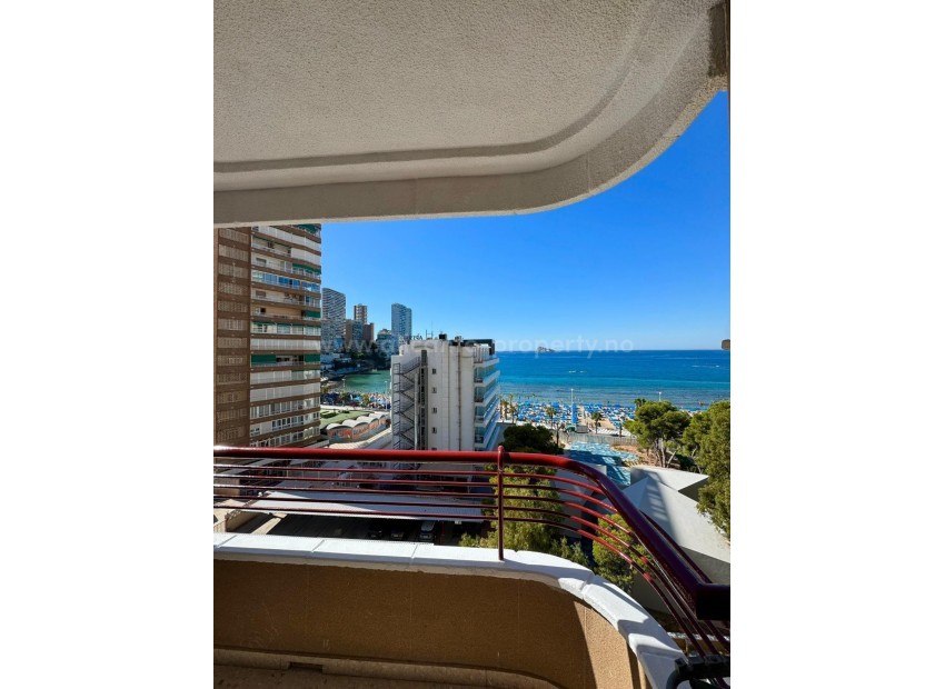 Apartamento / piso en Benidorm Centro