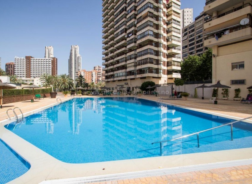 Apartamento / piso en Benidorm Centro