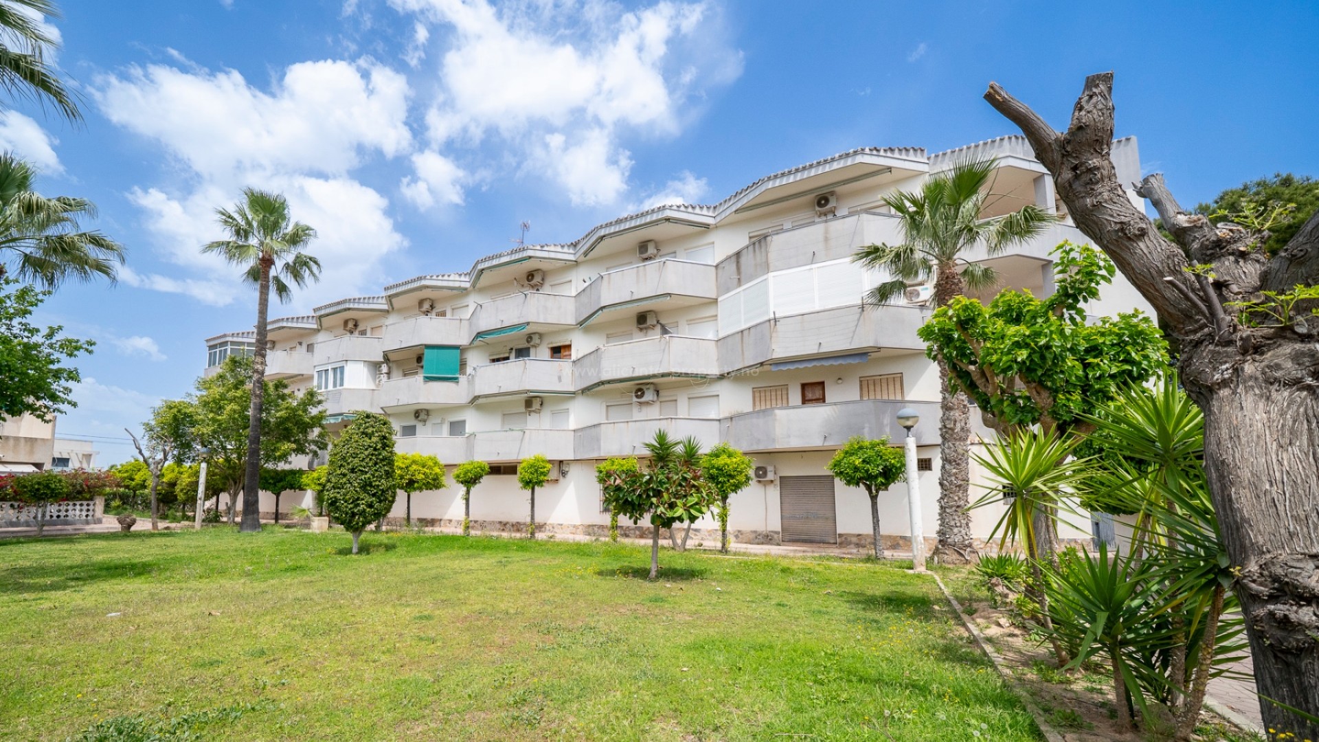 Apartamento / piso en Cabo Roig
