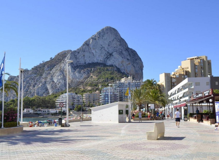 Apartamento / piso en Calpe Centro