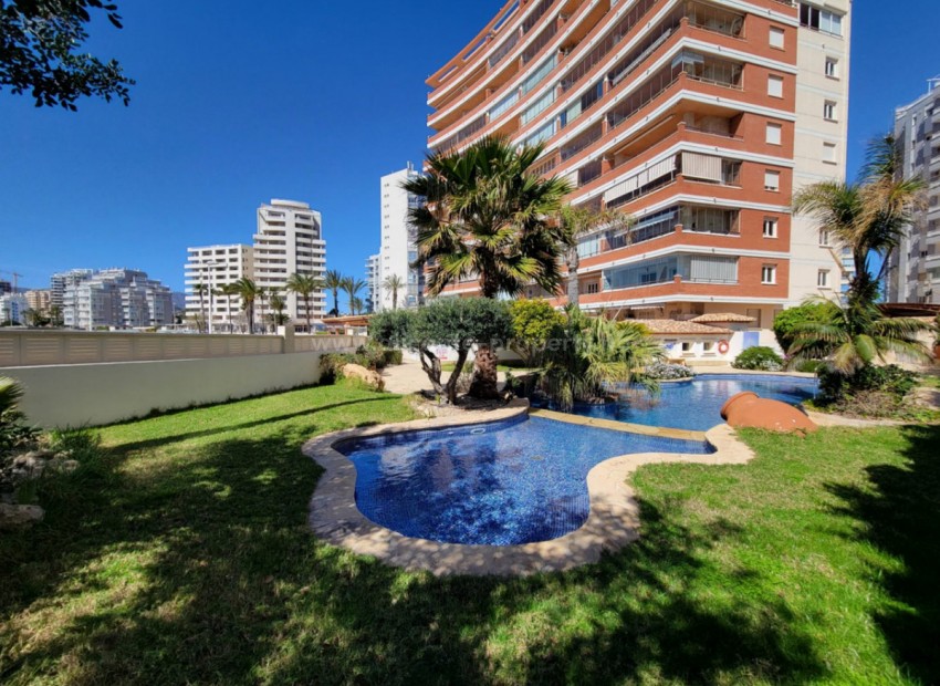 Apartamento / piso en Calpe Centro