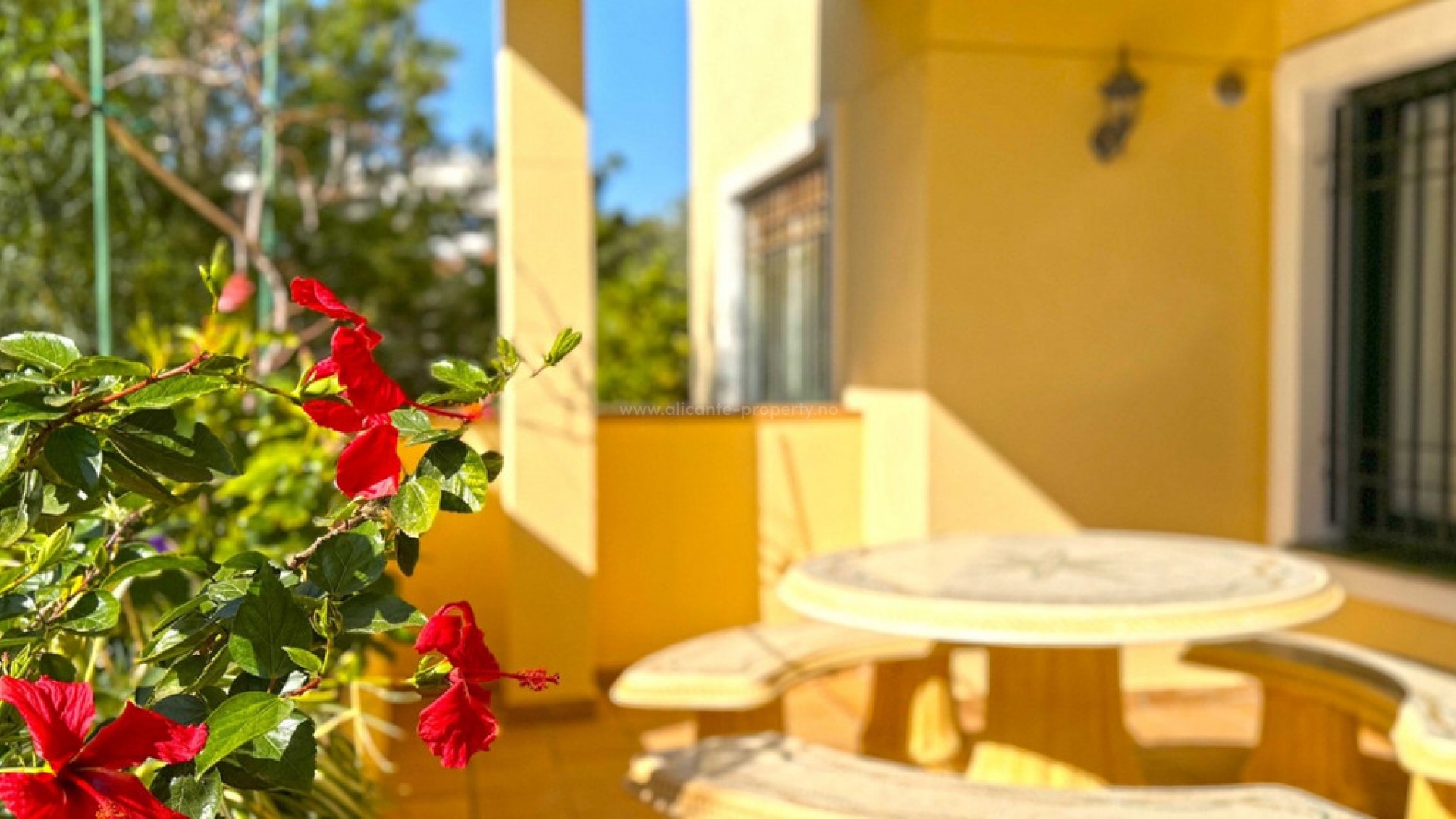 Apartamento / piso en Campoamor