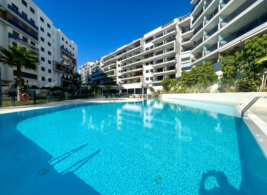 Apartamento / piso en Campoamor