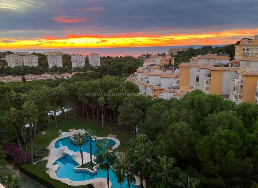 Apartamento / piso en Dehesa de Campoamor