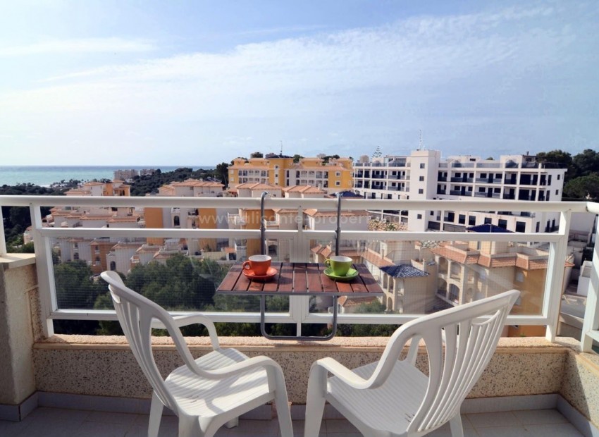 Apartamento / piso en Dehesa de Campoamor