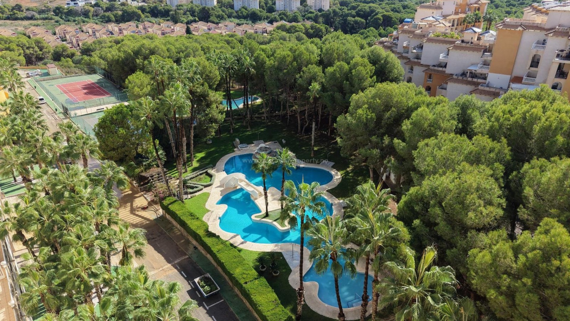 Apartamento / piso en Dehesa de Campoamor
