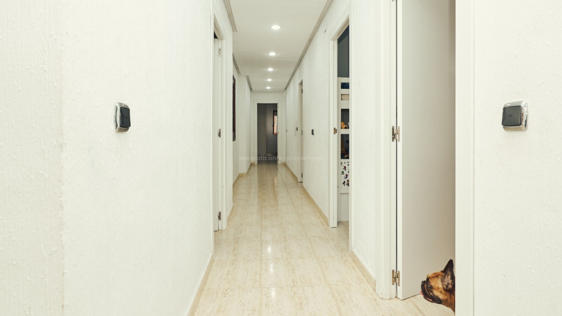 Apartamento / piso en Dolores Centro
