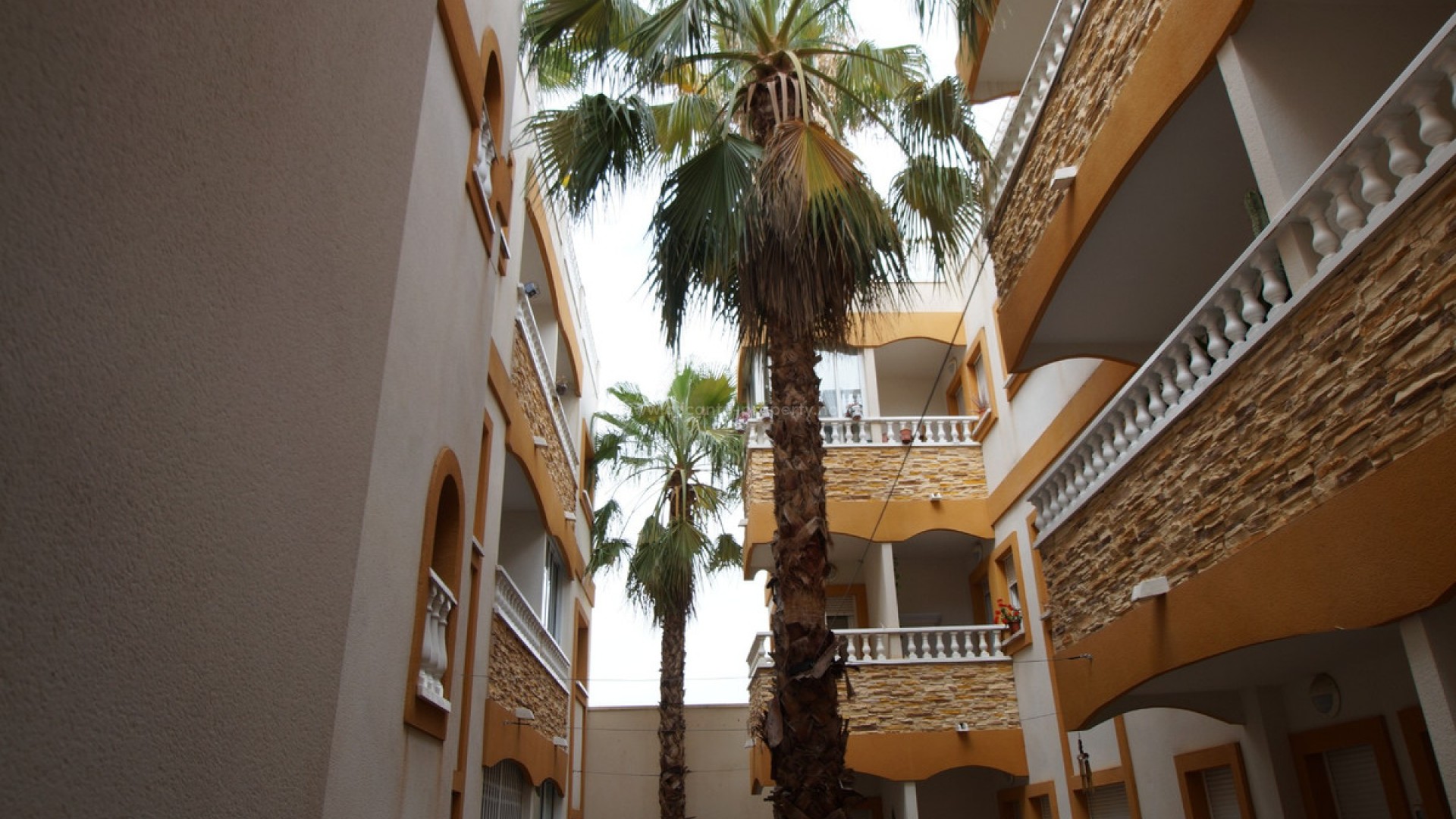 Apartamento / piso en Formentera del Segura Centro