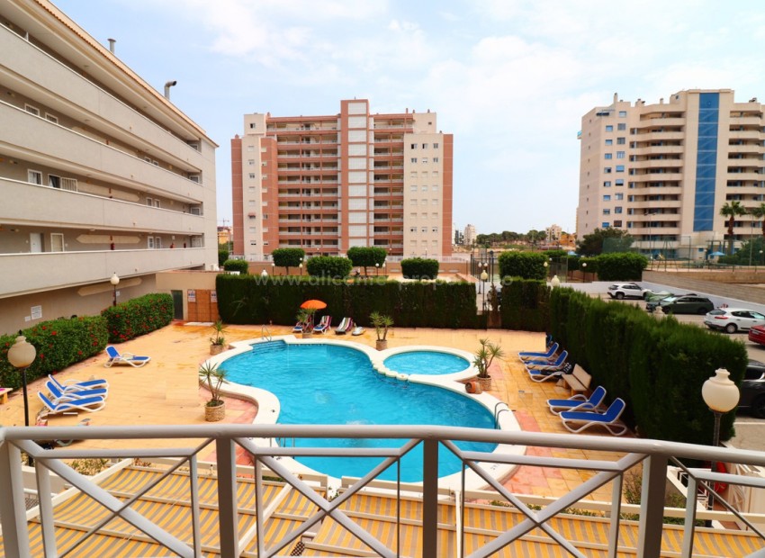 Apartamento / piso en Guardamar del Segura Centro