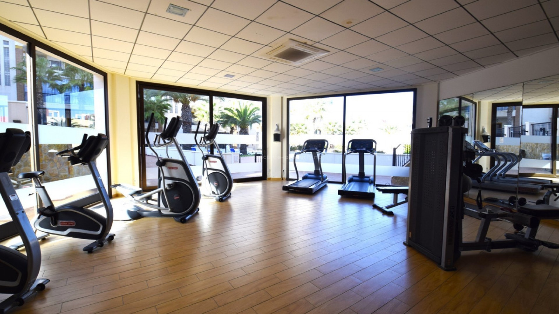 Apartamento / piso en Guardamar del Segura Centro