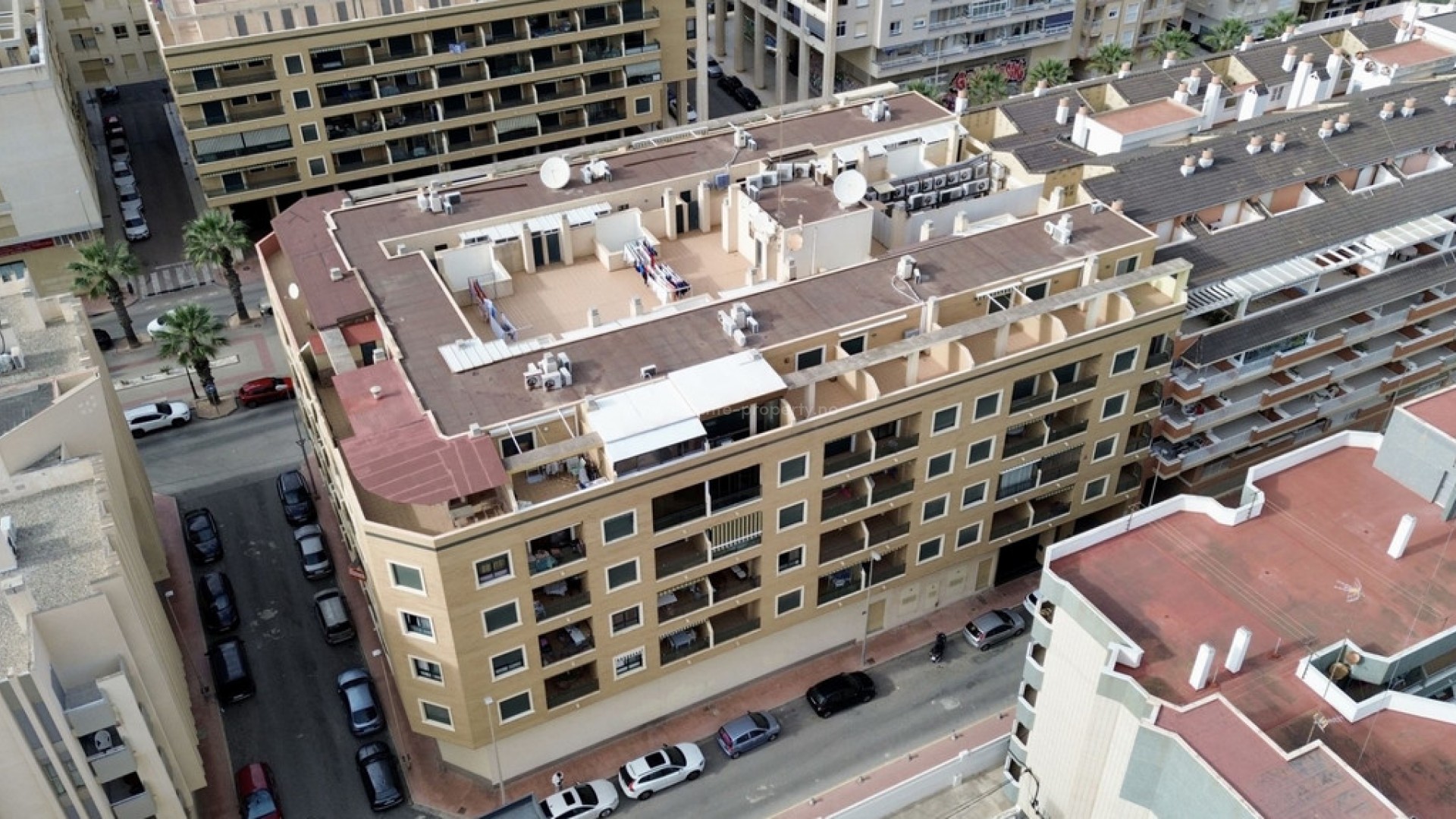 Apartamento / piso en Guardamar del Segura Centro