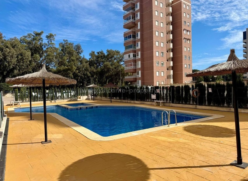 Apartamento / piso en Guardamar del Segura Centro