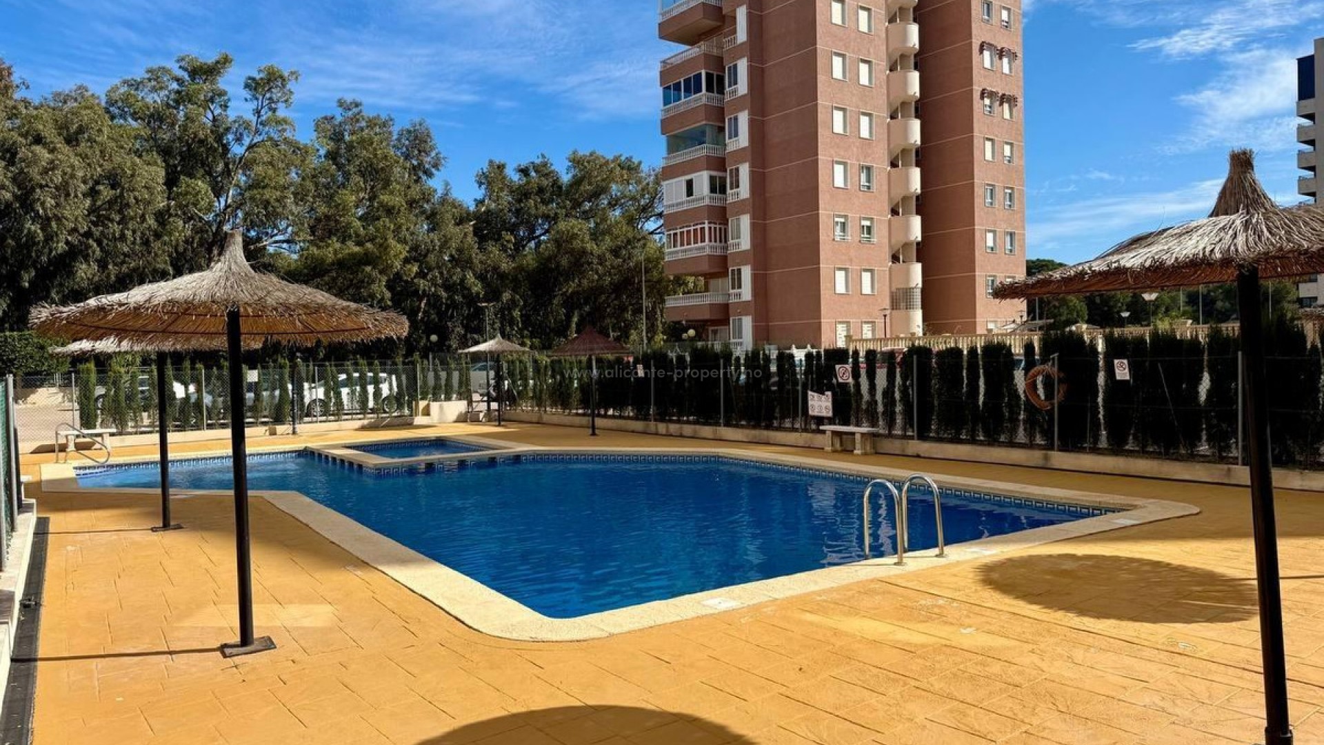 Apartamento / piso en Guardamar del Segura Centro