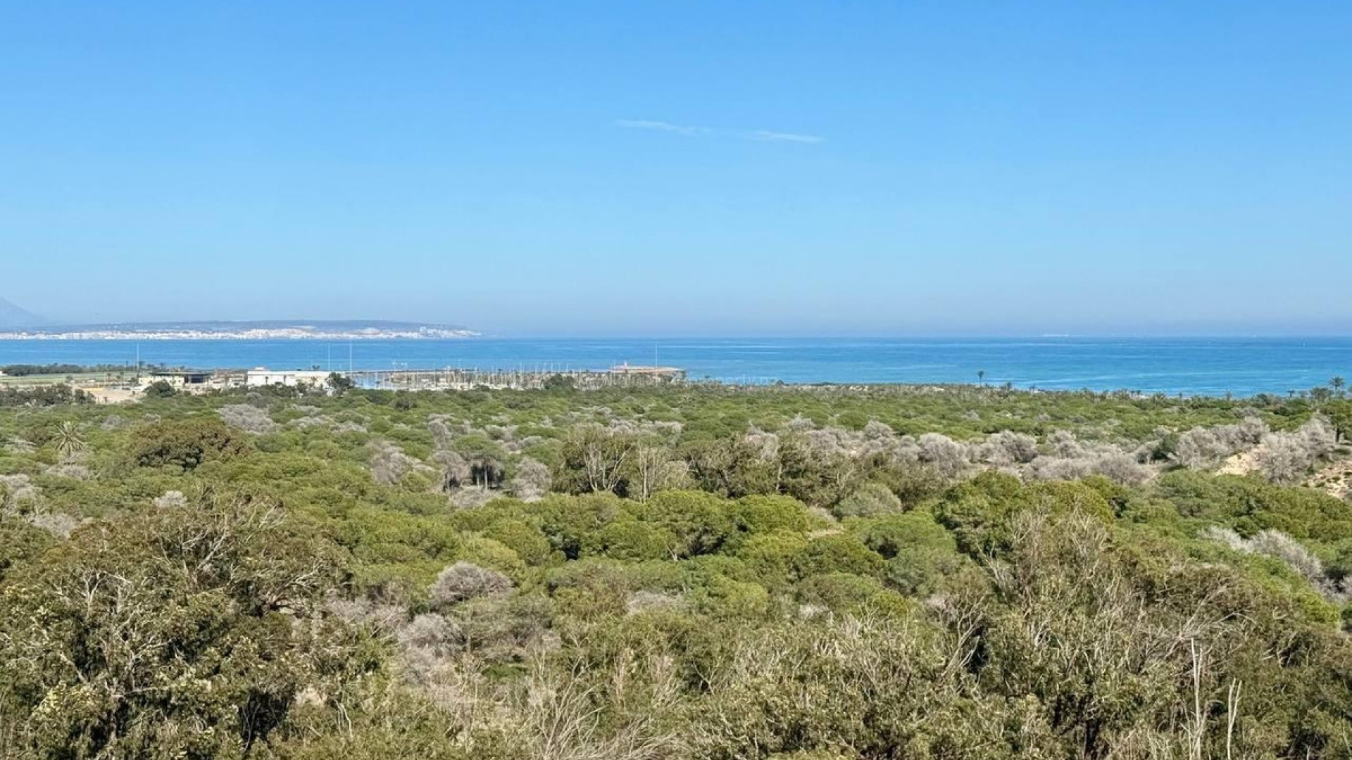 Apartamento / piso en Guardamar del Segura Centro