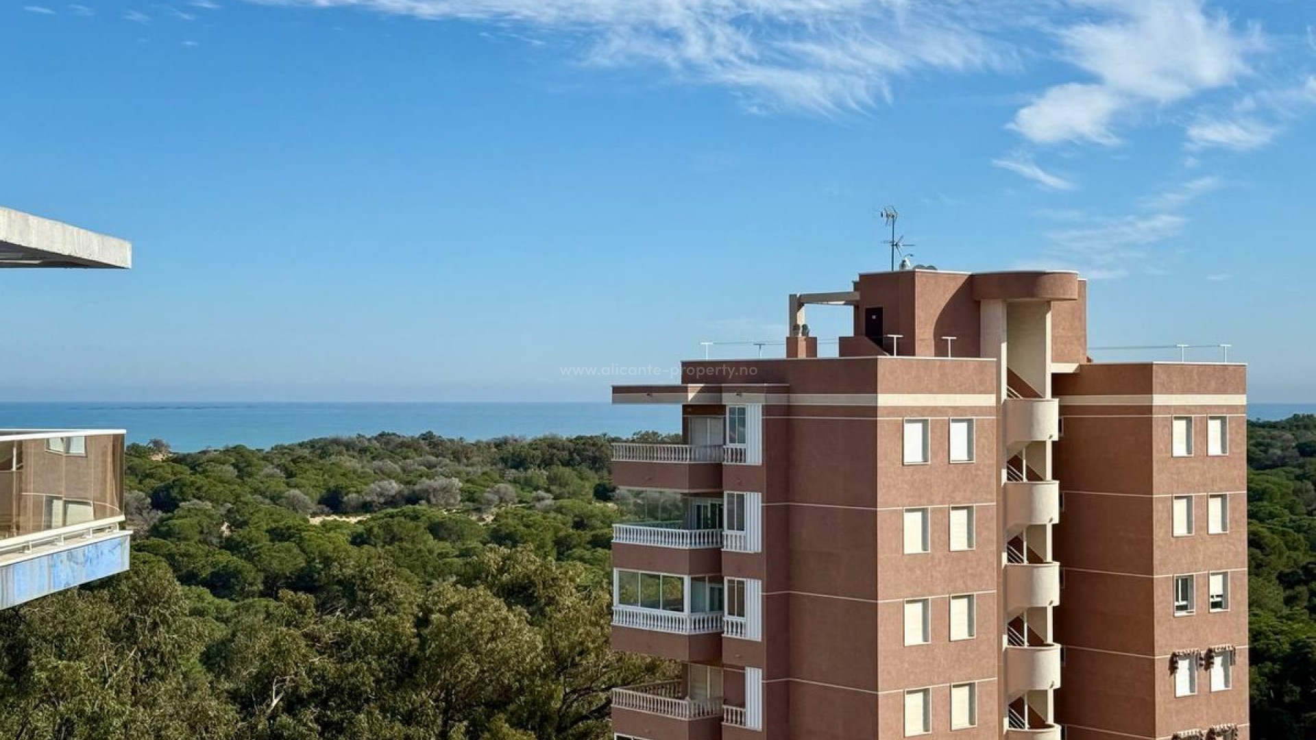Apartamento / piso en Guardamar del Segura Centro