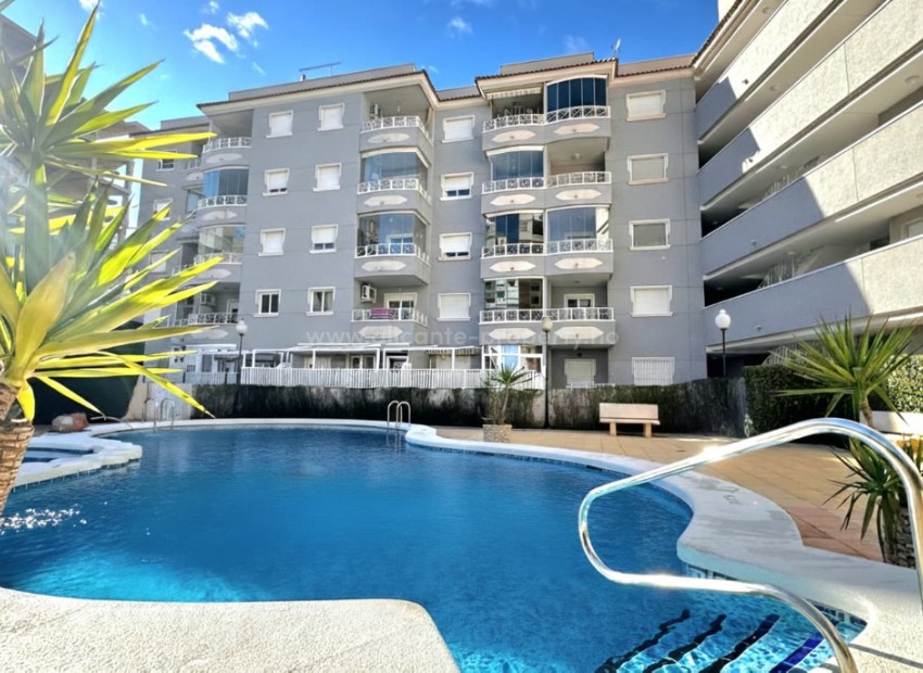 Apartamento / piso en Guardamar del Segura Centro