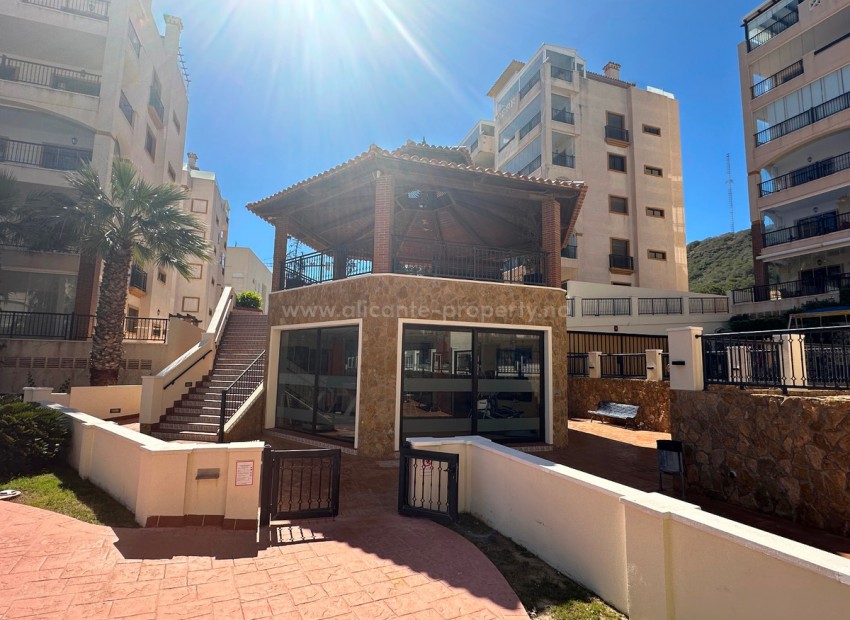Apartamento / piso en Guardamar del Segura Centro