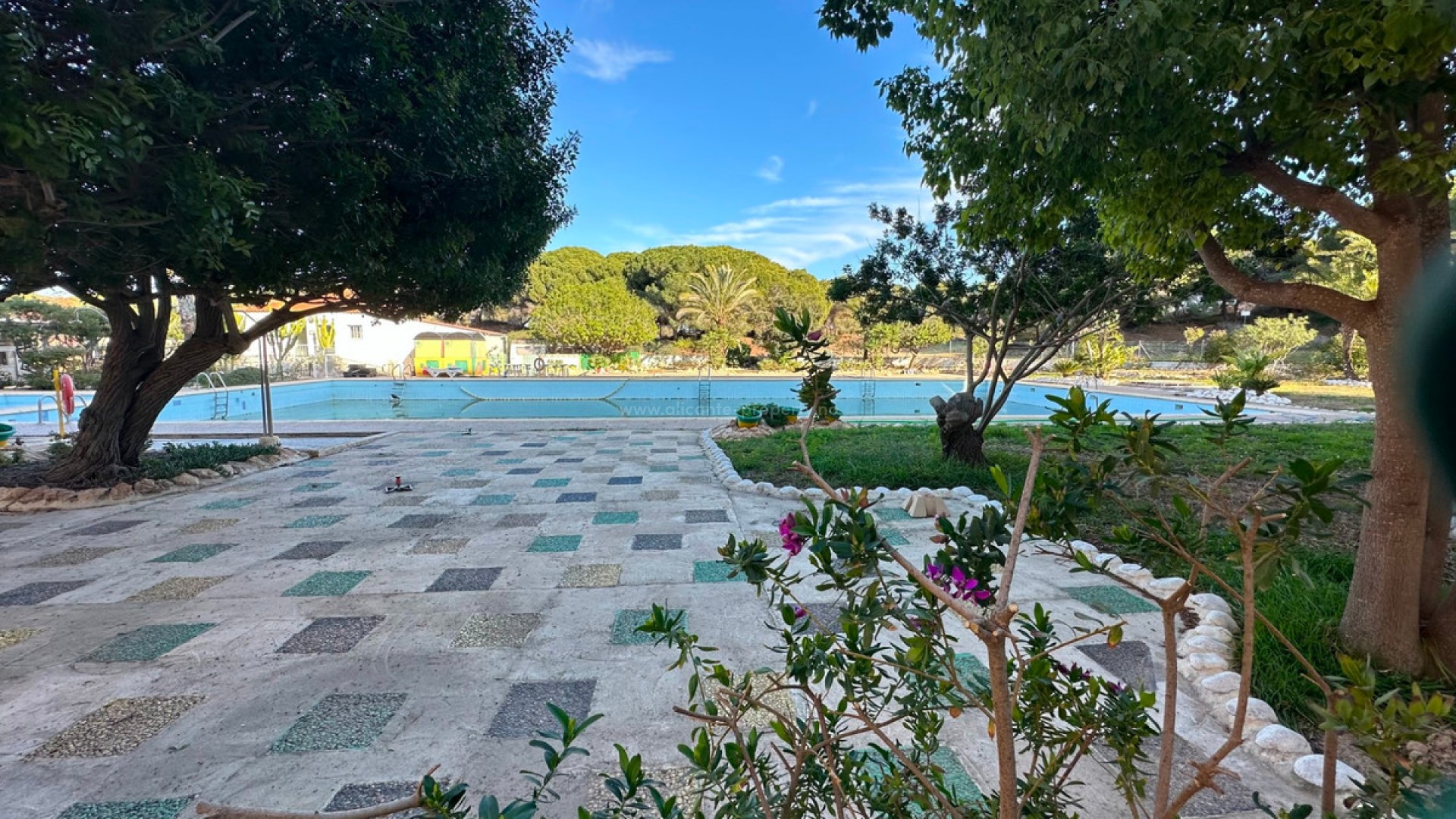 Apartamento / piso en Guardamar del Segura Centro