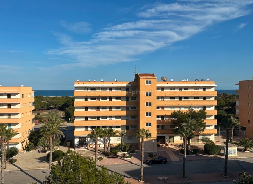 Apartamento / piso en Guardamar del Segura Centro