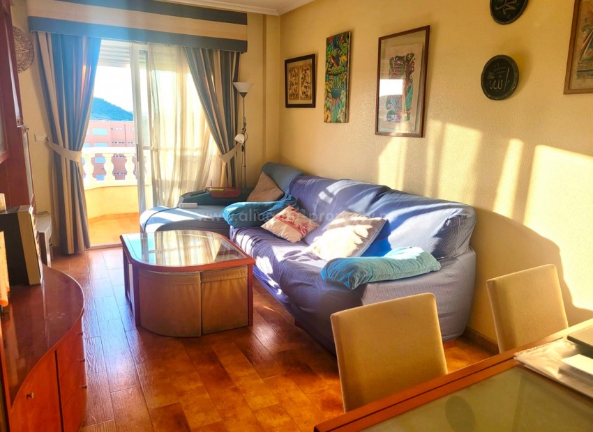 Apartamento / piso en Guardamar del Segura Centro