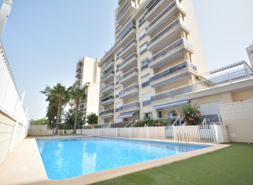 Apartamento / piso en Guardamar del Segura Centro