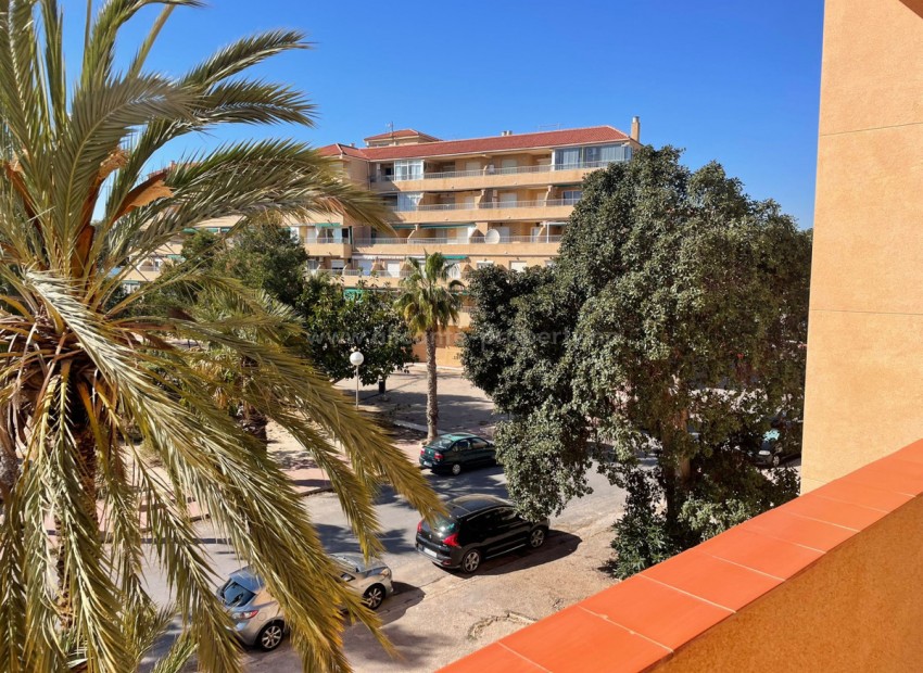 Apartamento / piso en Guardamar del Segura Centro
