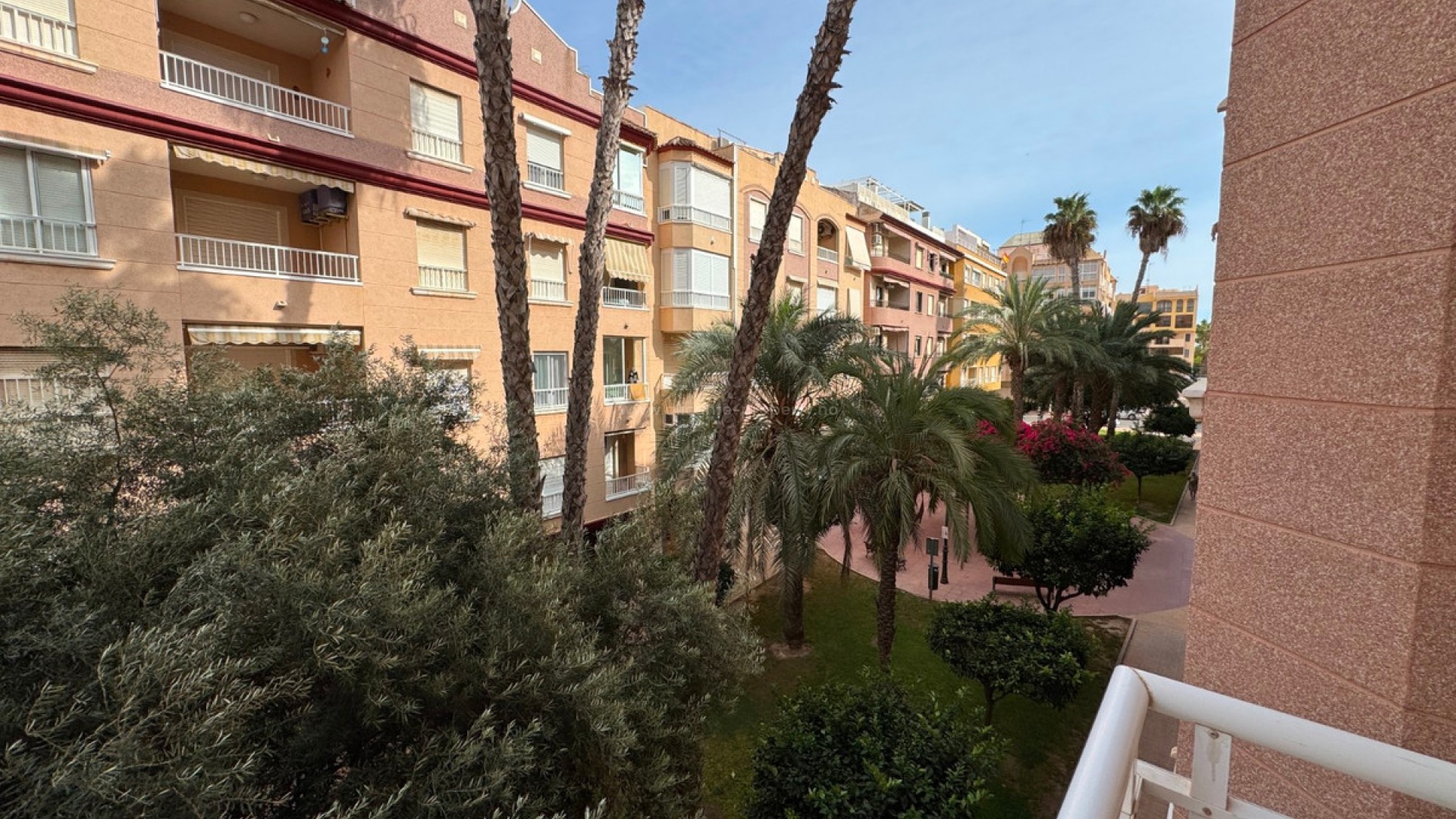 Apartamento / piso en Guardamar del Segura Centro