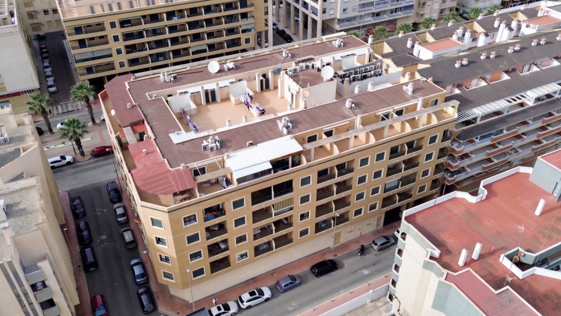 Apartamento / piso en Guardamar del Segura Centro