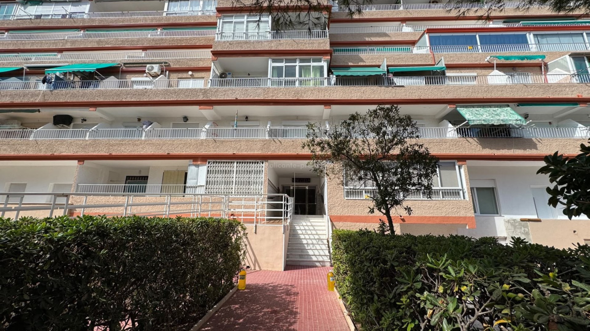 Apartamento / piso en Guardamar del Segura Centro