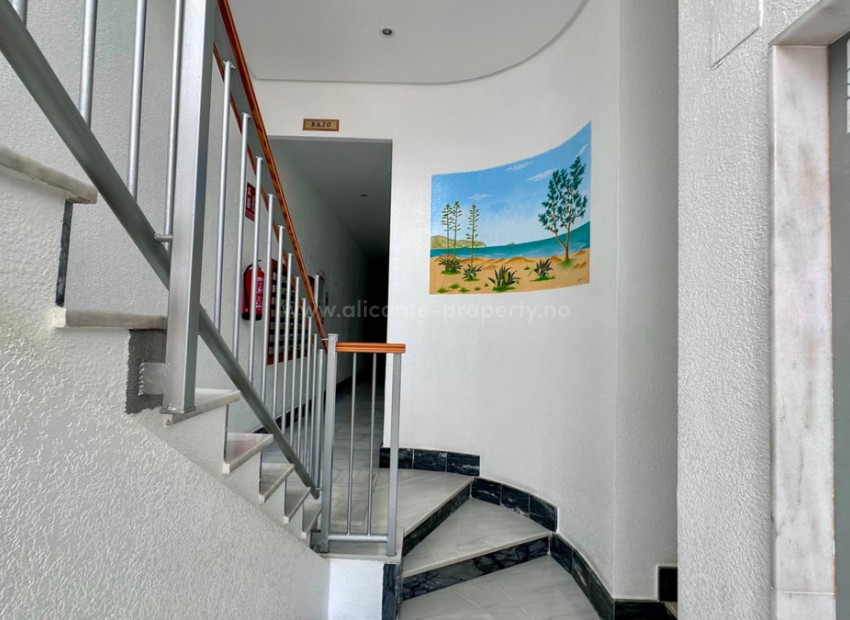 Apartamento / piso en Guardamar del Segura Centro