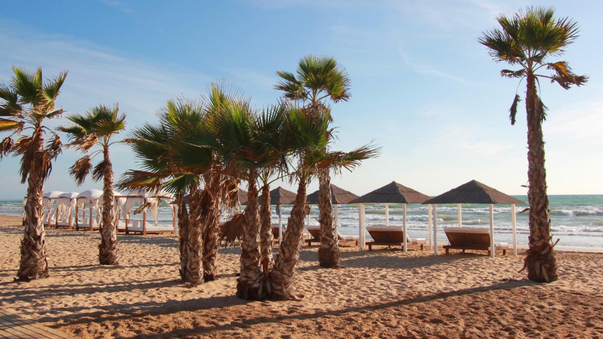 Apartamento / piso en Guardamar del Segura