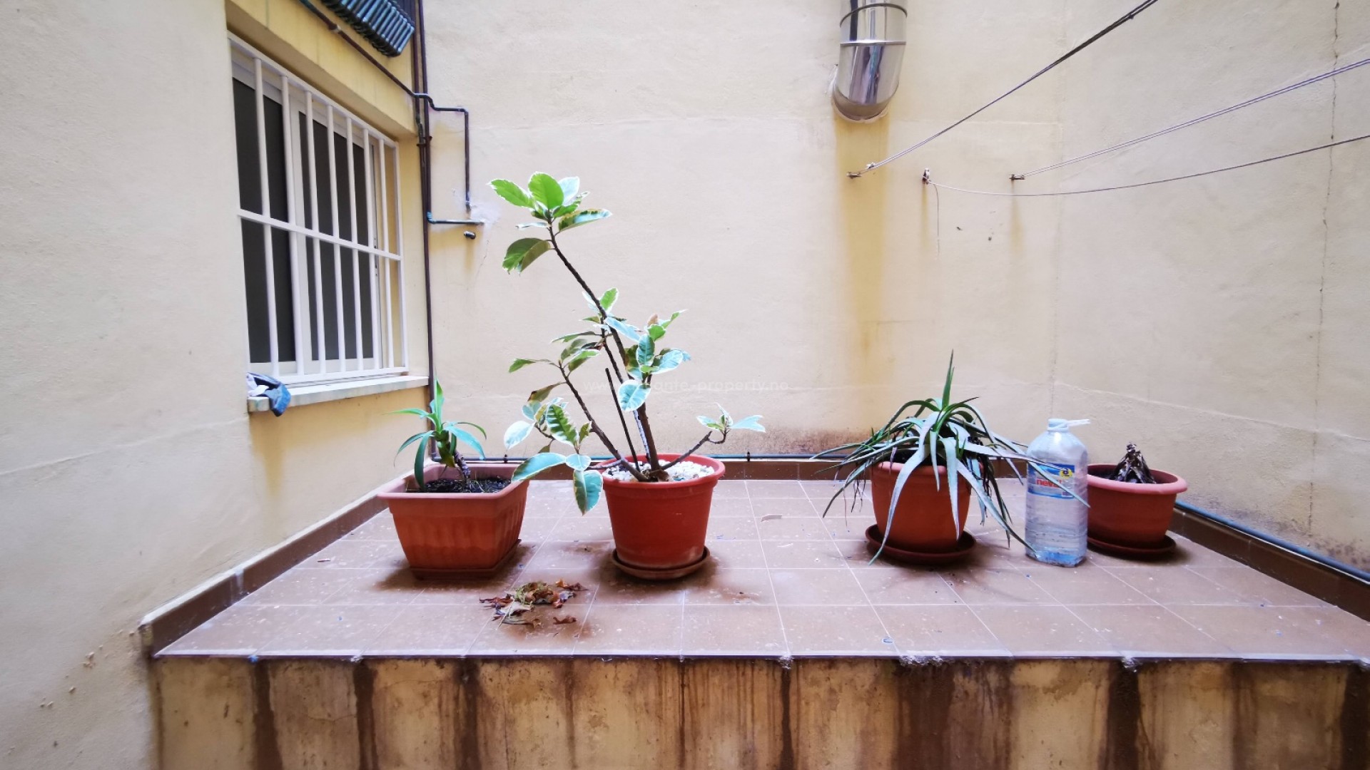 Apartamento / piso en Guardamar del Segura