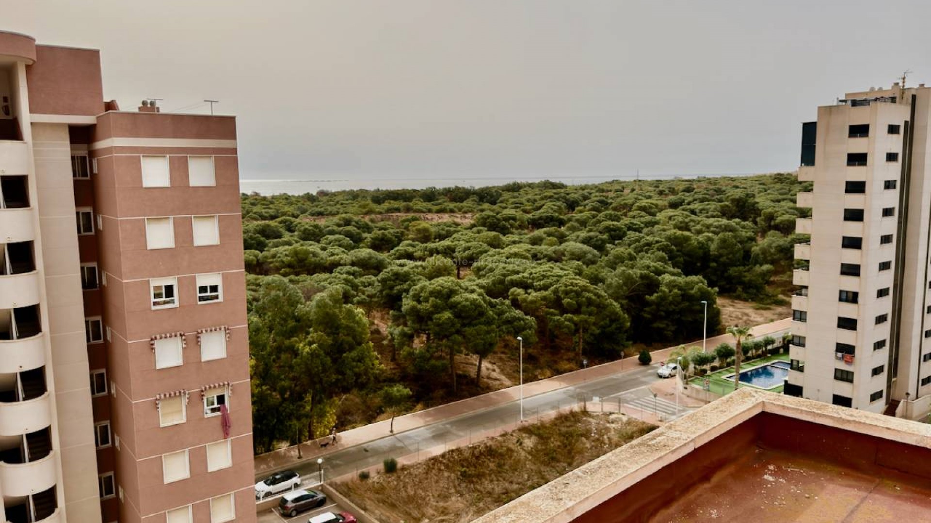 Apartamento / piso en Guardamar del Segura