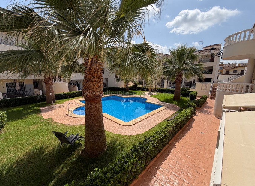 Apartamento / piso en Jacarilla