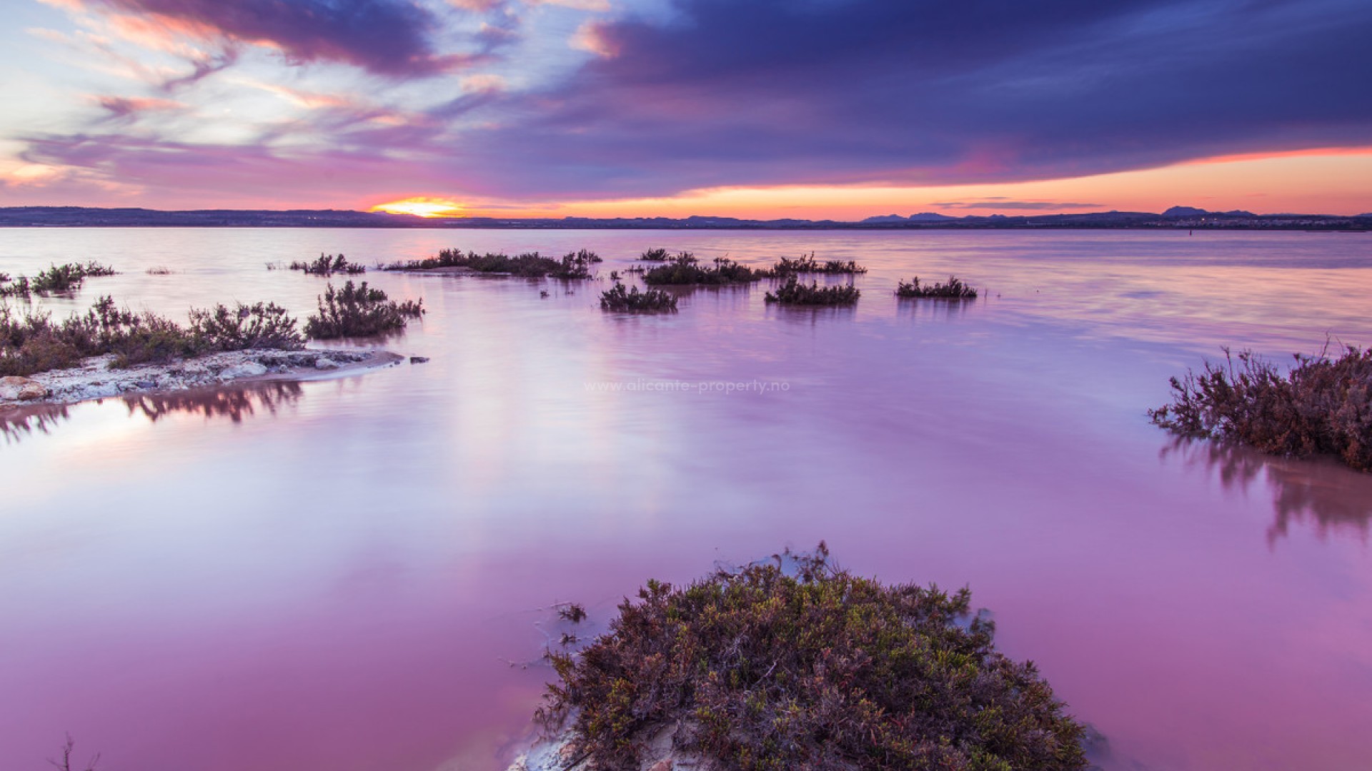 Apartamento / piso en La Mata