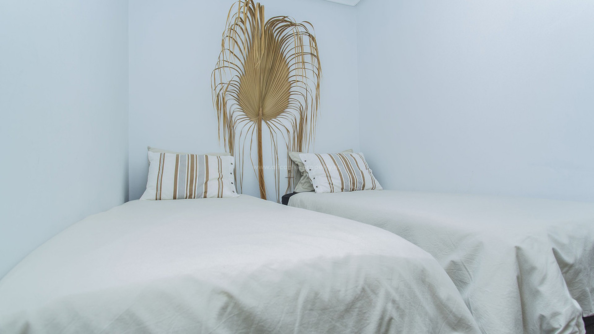 Apartamento / piso en La Mata