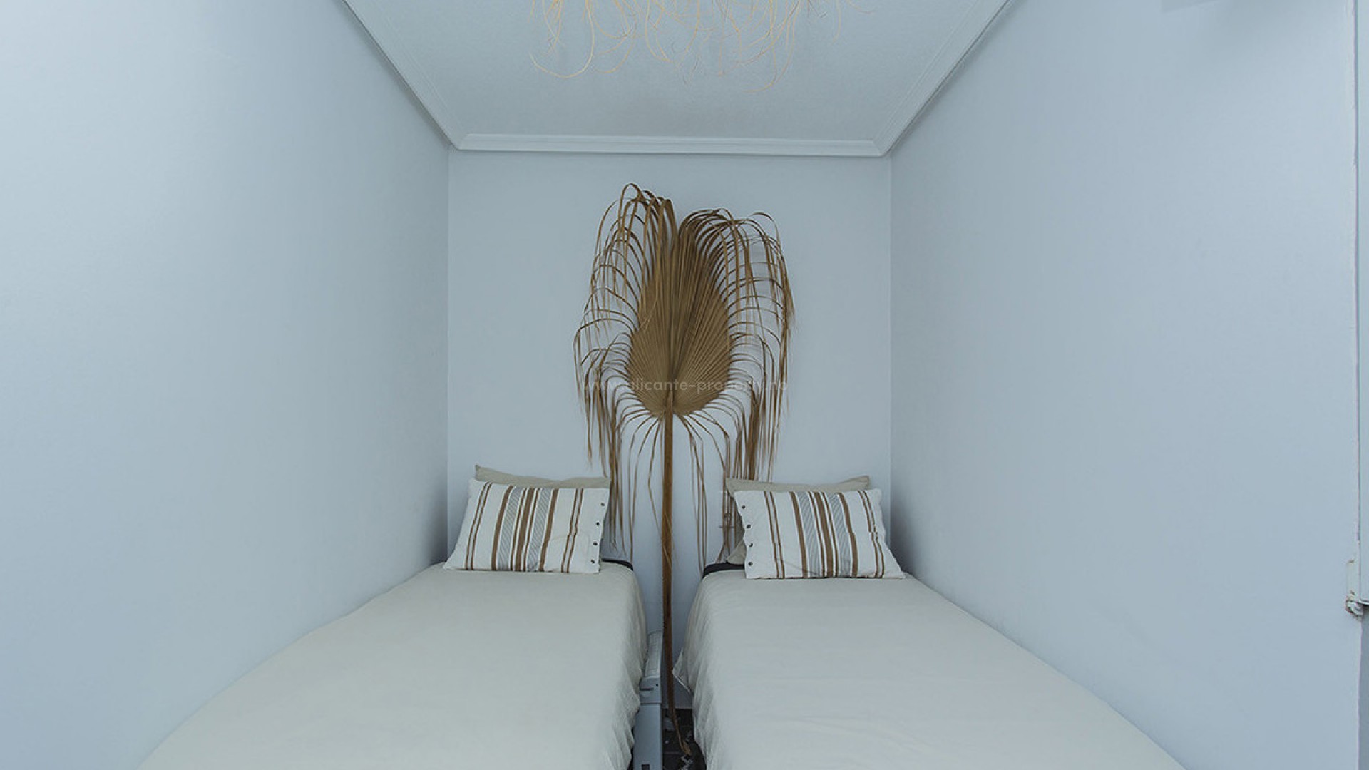 Apartamento / piso en La Mata